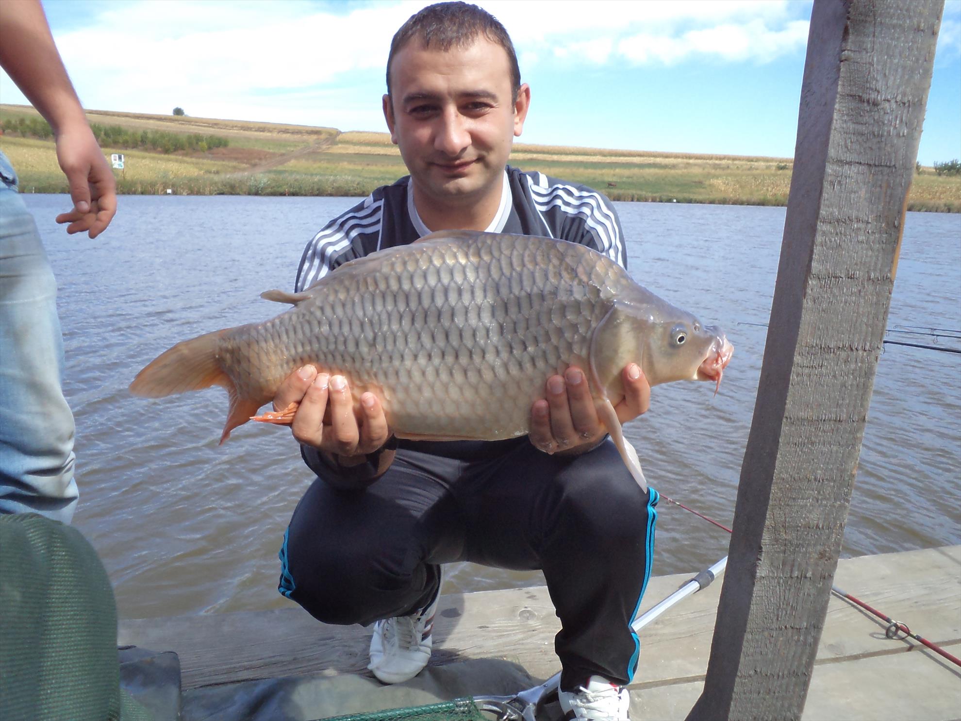 Testarea noilor bete - dsc01584.JPG